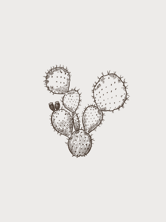 SOUTHWEST PRICKLY PEAR BALSAMIC HOT SAUCE