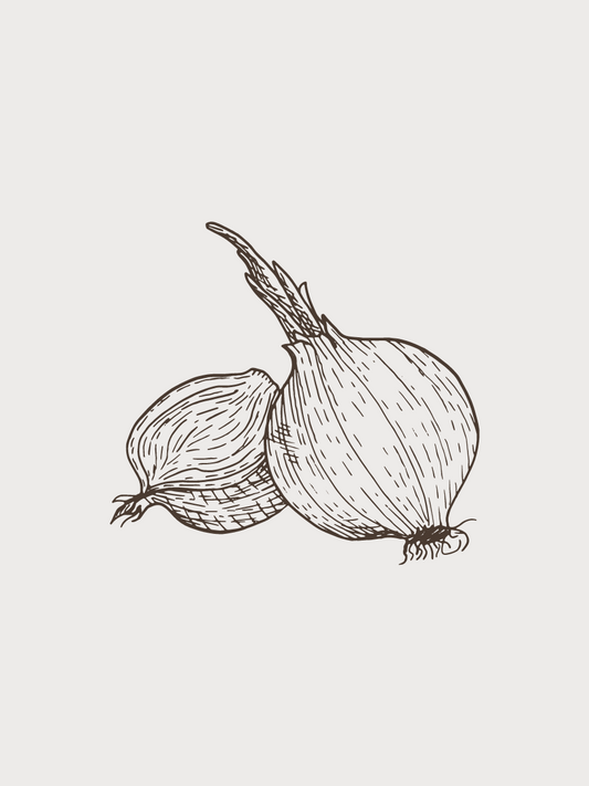 CARAMELIZED ONION BALSAMIC VINEGAR