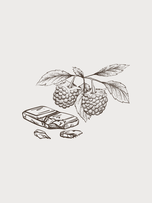CHOCOLATE RASPBERRY DARK BALSAMIC VINEGAR