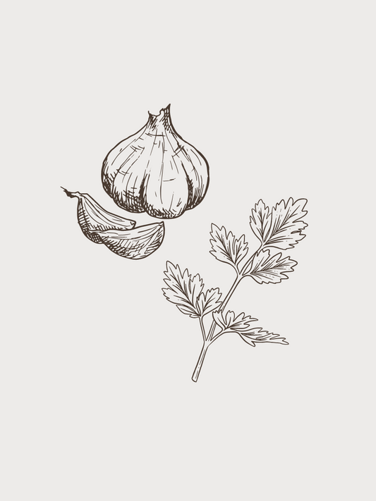 GARLIC CILANTRO DARK BALSAMIC VINEGAR