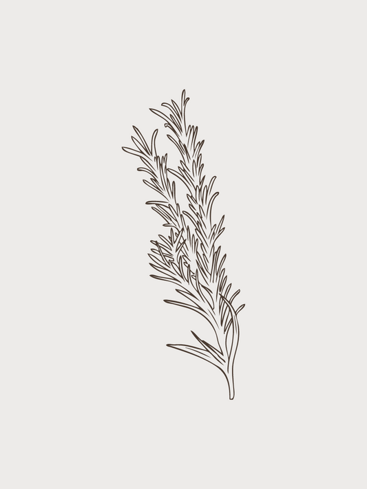 ITALIAN HERB DARK BALSAMIC VINEGAR