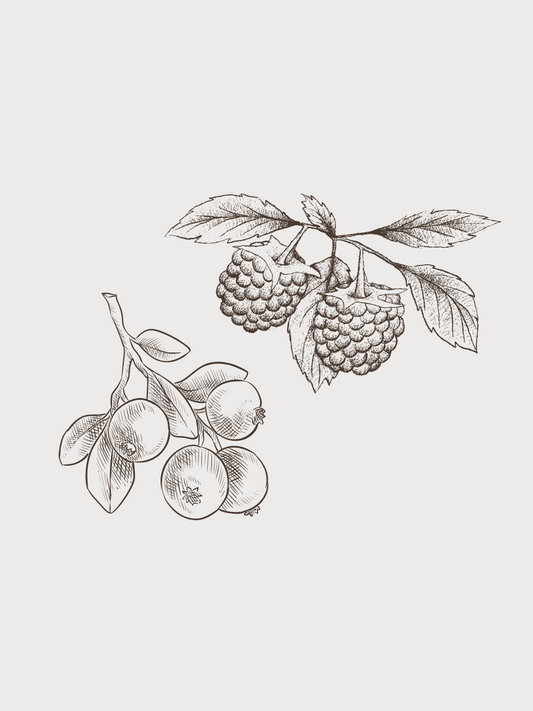 RASPBERRY CRANBERRY WHITE BALSAMIC VINEGAR