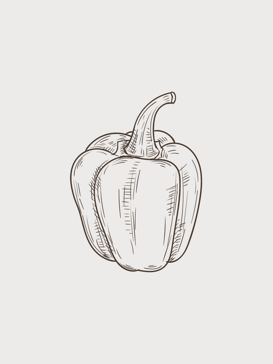 BELL PEPPER DARK BALSAMIC VINEGAR